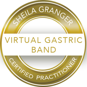 Virtual Gastric Band